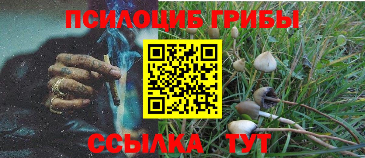 цены   Псилоцибиновые грибы GOLDEN TEACHER  Вход с VPN  Галлюциногенные грибы мицелий  Красноармейск 